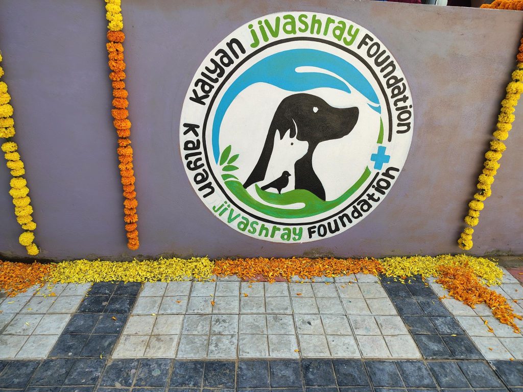 Jivashray Foundation logo on a wall with marigold flower decorations.