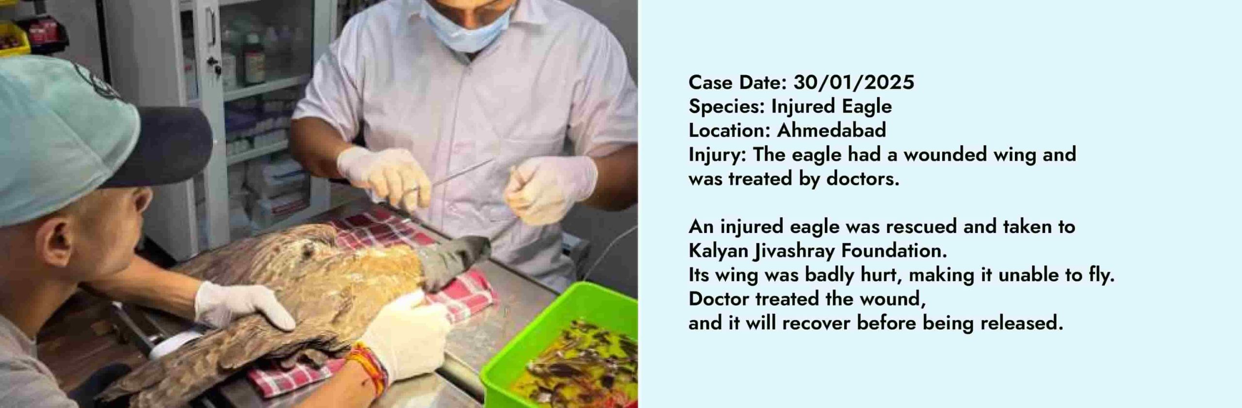 Daily Case V-08-min