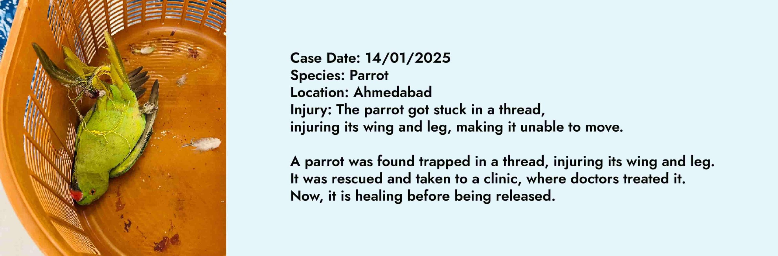 Daily Case V-09-min